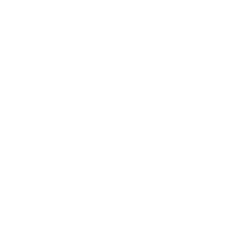 Play icon